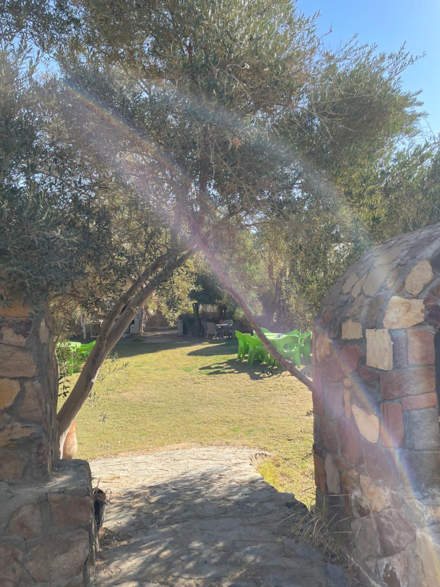 Ahmed Safari Camp Hotel Bawiti Exterior photo